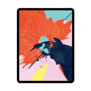 iPad Pro 12.9 3rd Gen