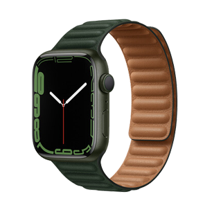 Series 7 41mm / 45mm
