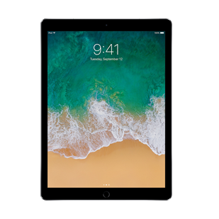 iPad Pro 12.9 1st Gen