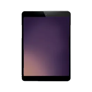 iPad Mini 3
